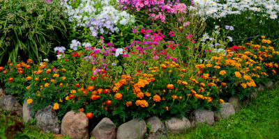 giardino con pietre Giardino con pietre - Bricocenter