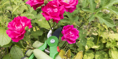 Attrezzi da giardino - Bricocenter