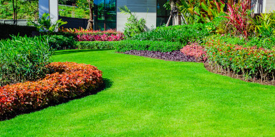 erba da giardino che non si taglia Erba da giardino che non si taglia - Bricocenter