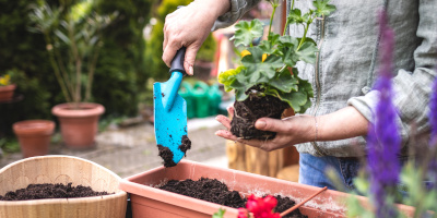 fiori primaverili da giardino Fiori primaverili da giardino - Bricocenter