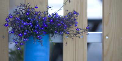 fioriere verticali Fioriere verticali: idee originali - Bricocenter