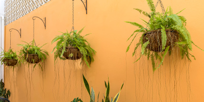 idee giardino piccolo Idee giardino piccolo - Bricocenter