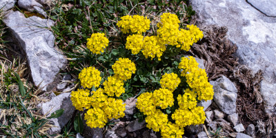 idee giardino piccolo Idee giardino piccolo - Bricocenter