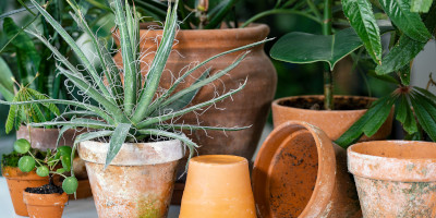 idee giardino piccolo Idee giardino piccolo - Bricocenter