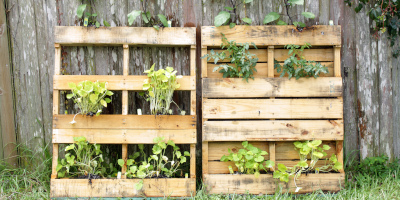 Orto verticale con pallet - Bricocenter