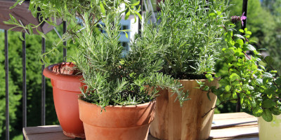 orto in terrazzo fai da te Orto sul terrazzo fai da te - Bricocenter