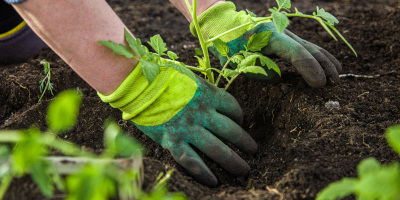 Come progettare un giardino - Bricocenter
