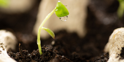 Riciclare oggetti da buttare - Bricocenter