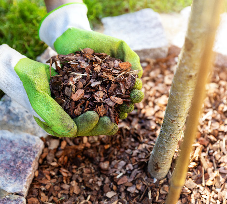 piacciamatura per giardino