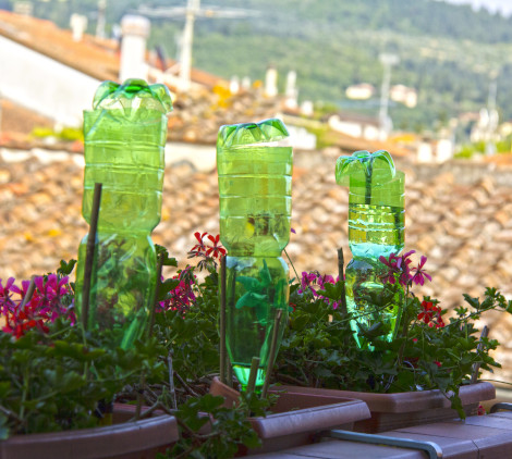 irrigare piante in vacanza - Bricocenter