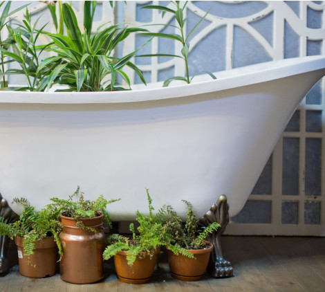 irrigare piante in vacanza - Bricocenter