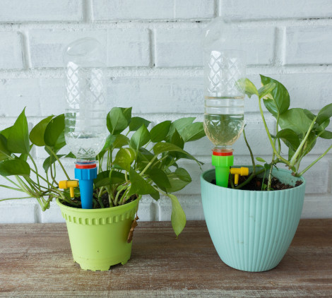 irrigare piante in vacanza - Bricocenter