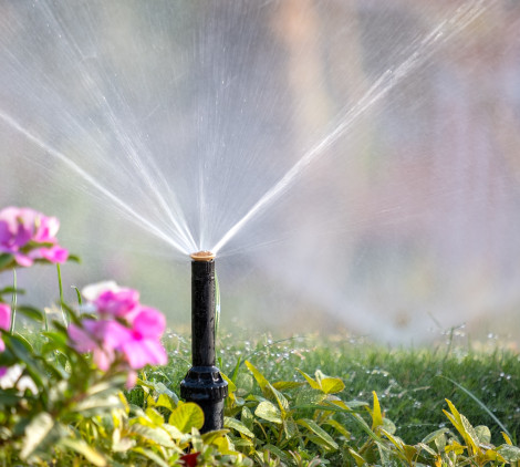 come eliminare le formiche dal giardino - Bricocenter