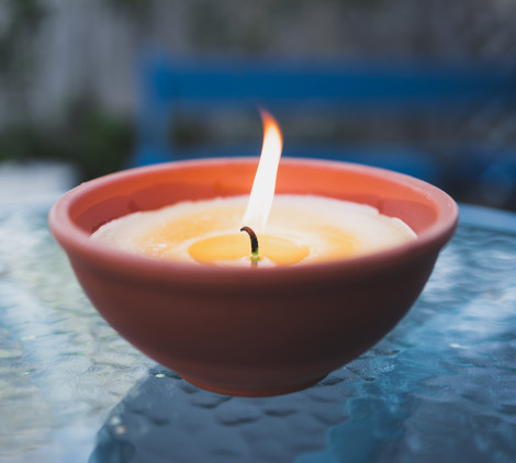 come eliminare le zanzare dal giardino - Bricocenter