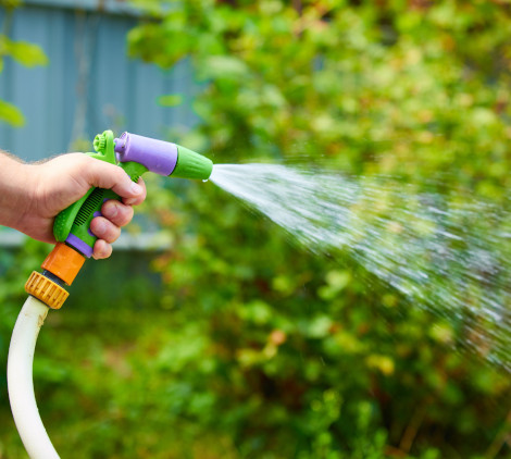 quando innaffiare il prato - Bricocenter