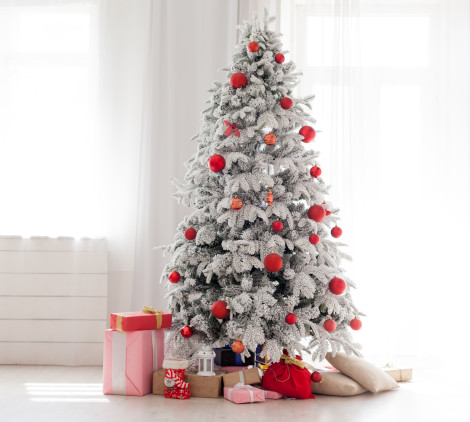 Come scegliere l'albero di Natale - Bricocenter