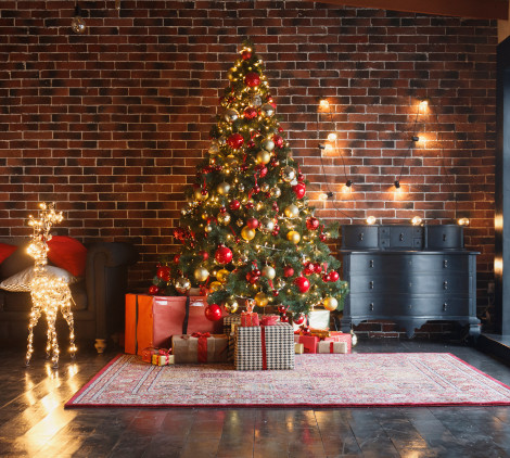 Come scegliere l'albero di Natale - Bricocenter