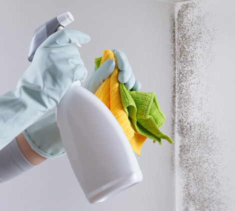 Come togliere la muffa - Bricocenter