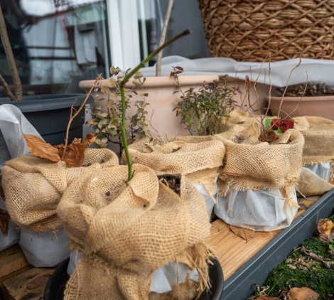 Telo di protezione delle piante - Bricocenter