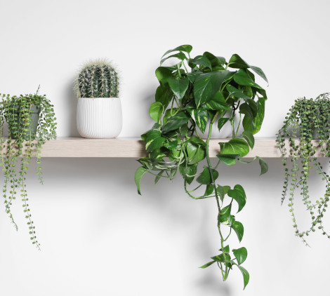 Come fissare una mensola senza staffe - Bricocenter