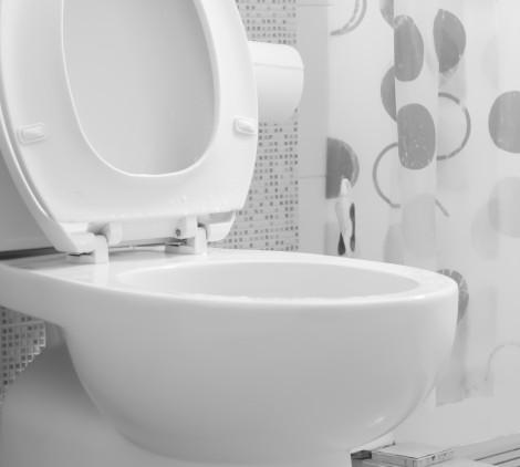 Come montare il copriwater - Bricocenter