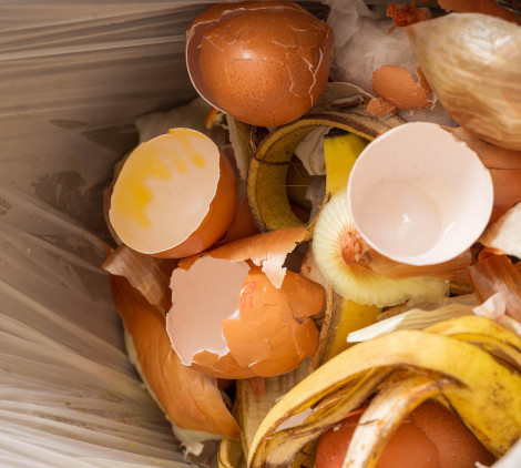 Cosa va nel bidone dell'organico - Bricocenter